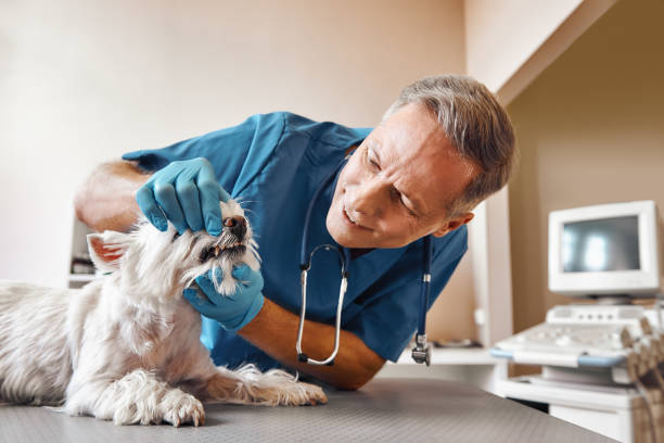Best 24-Hour Emergency Dental Care in Richmond Heights, OH
